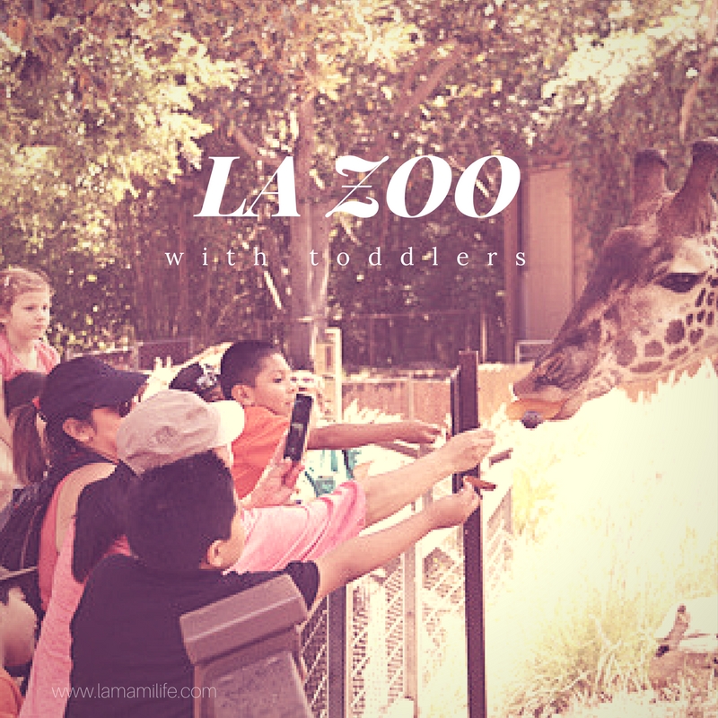 Los Angeles ZOO with a Toddler