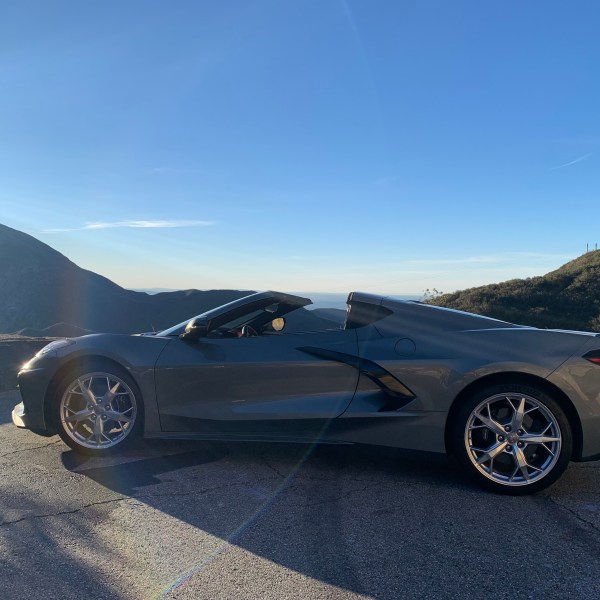 Spring is in the Air