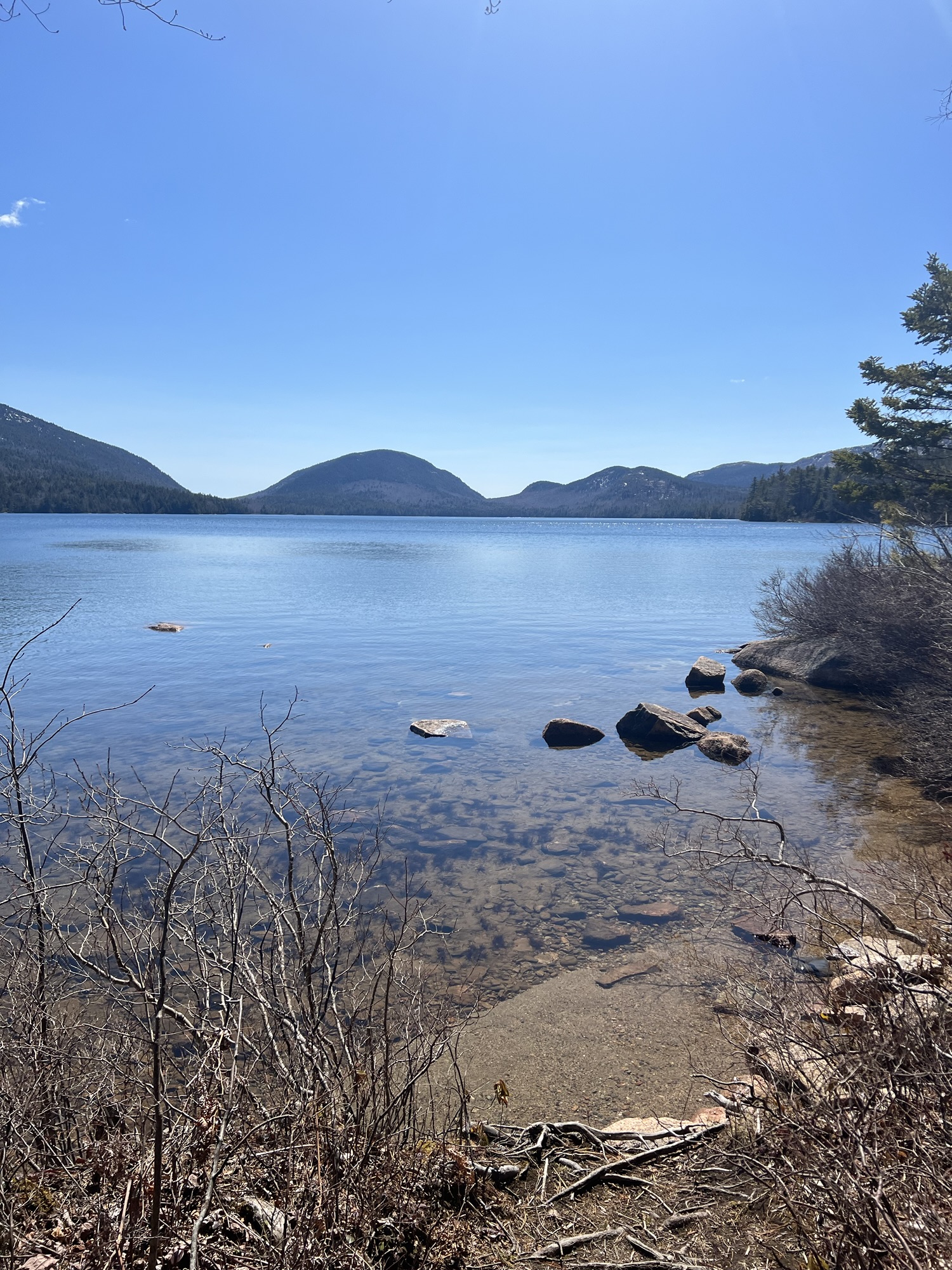 Reflecting on the Year: A Time to Recap, Release, and Reset