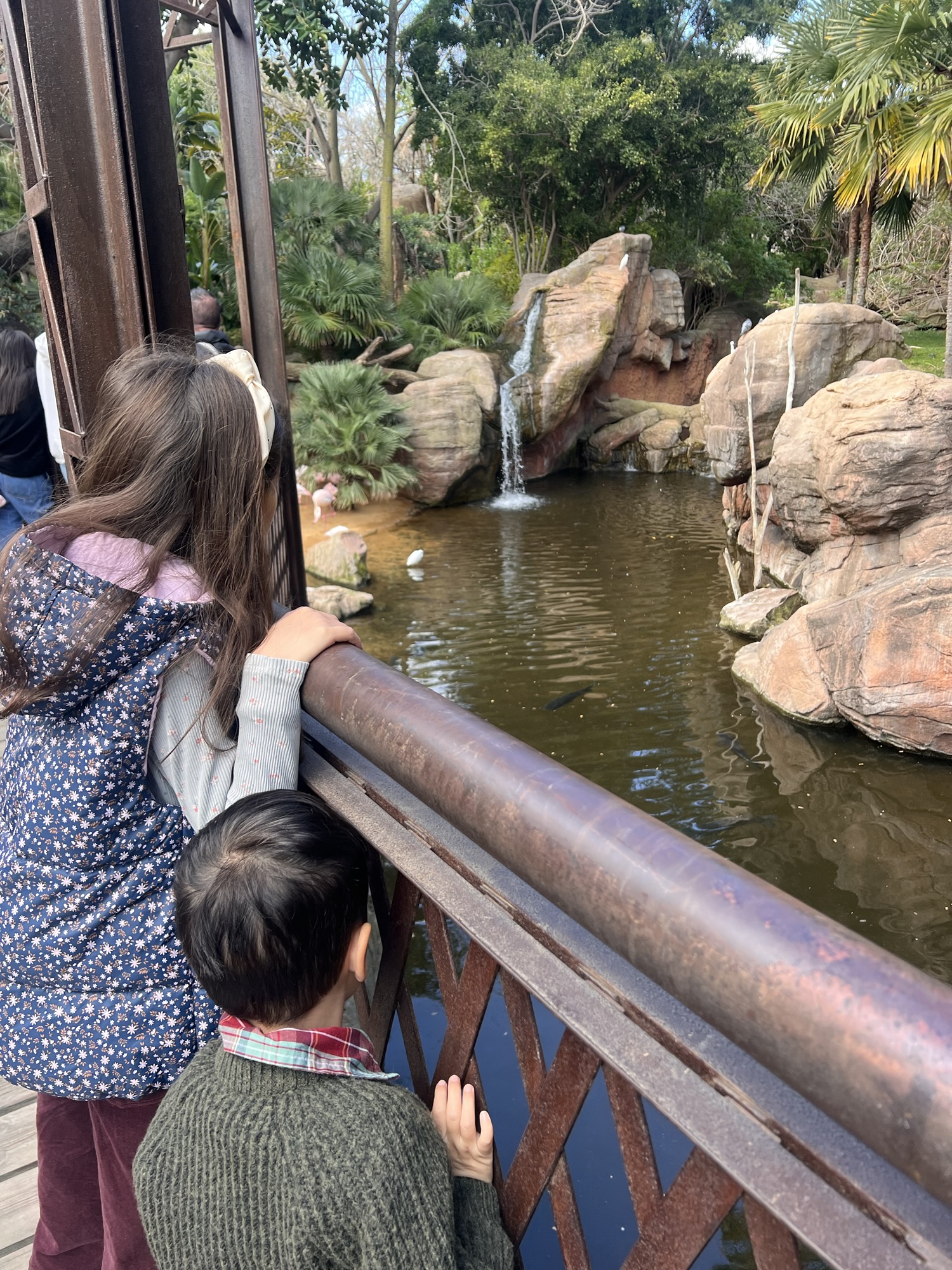 A Family Guide to Bioparc Fuengirola: Tips for Visiting with Kids